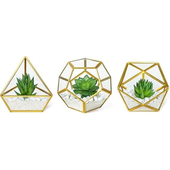 Artificial Succulent in 3 Pack Mini Glass Geometric Terrarium, Miniature - Picture 7 of 7